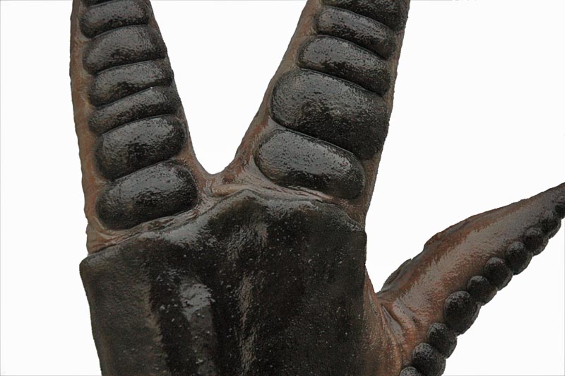 prawn glove 10