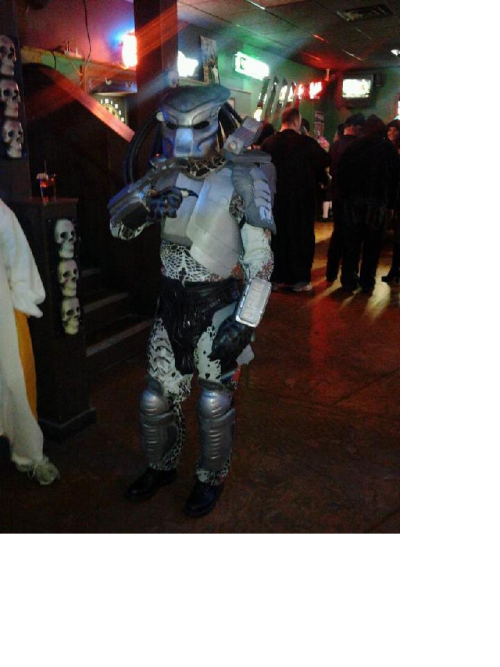 Pred 2011