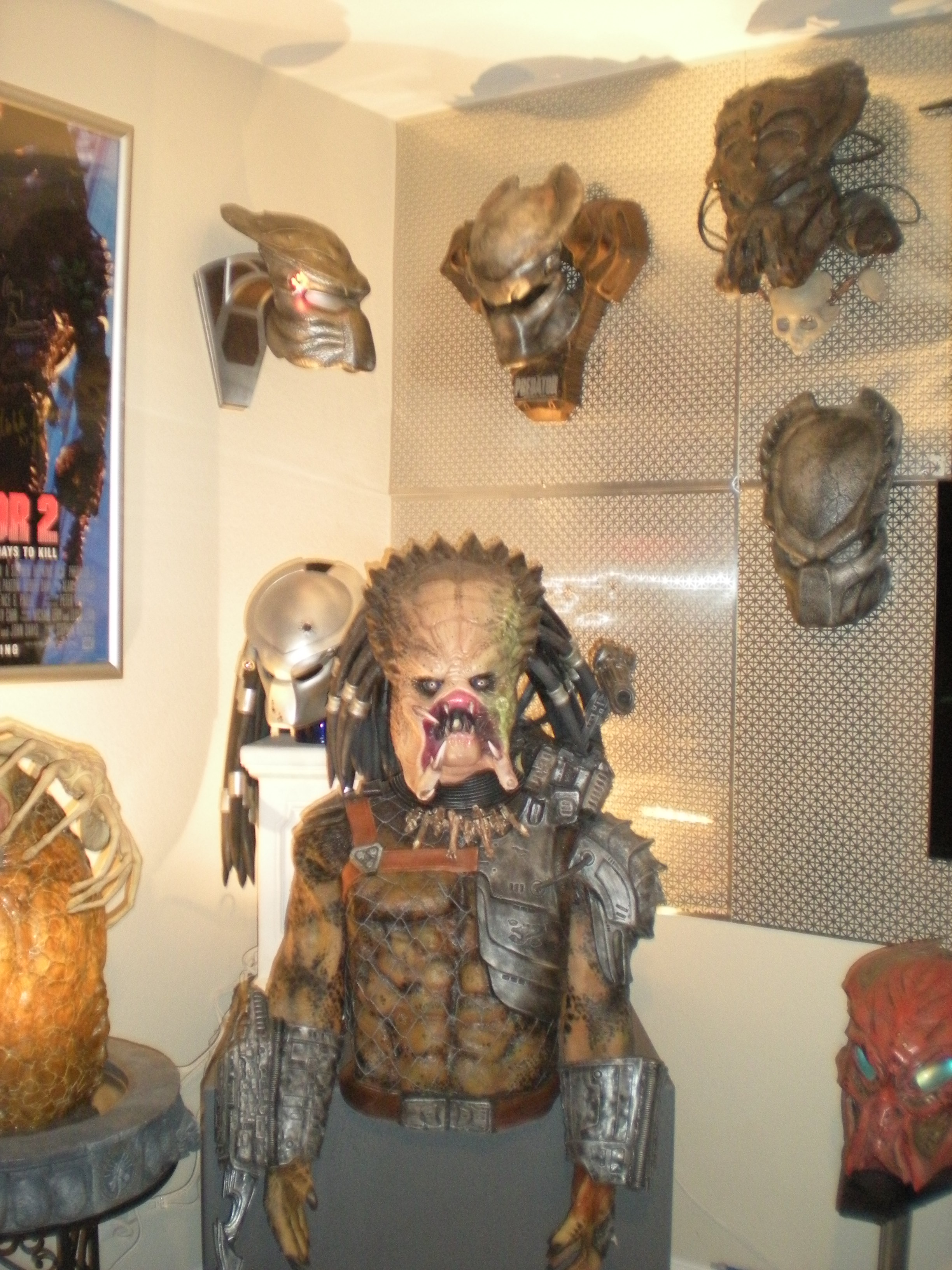 pred room 008