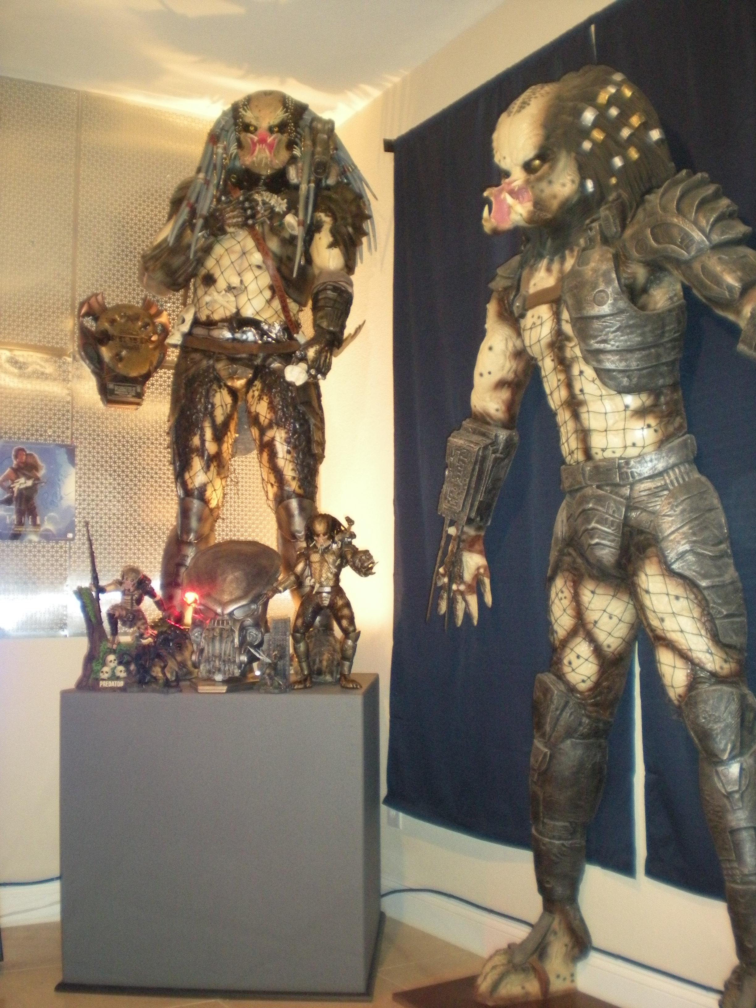 pred room 014