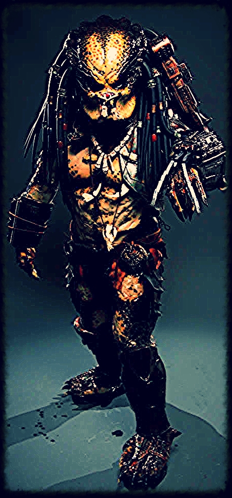 PREDATOR 1 FOR DHB