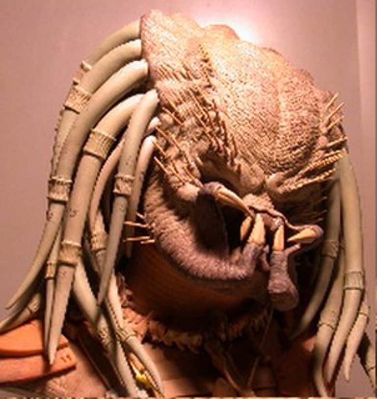 predator By taboada 1