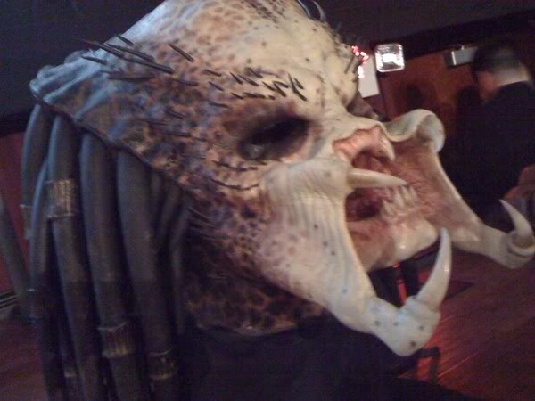PredatorKNBhead