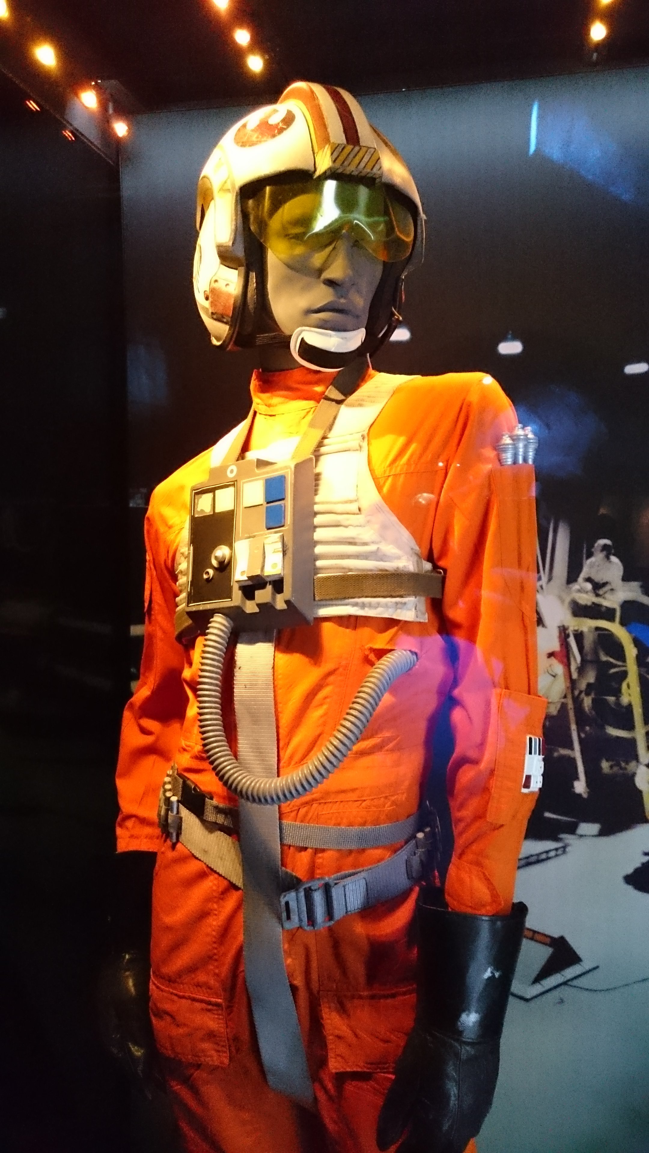 Rebel Pilot Costume
