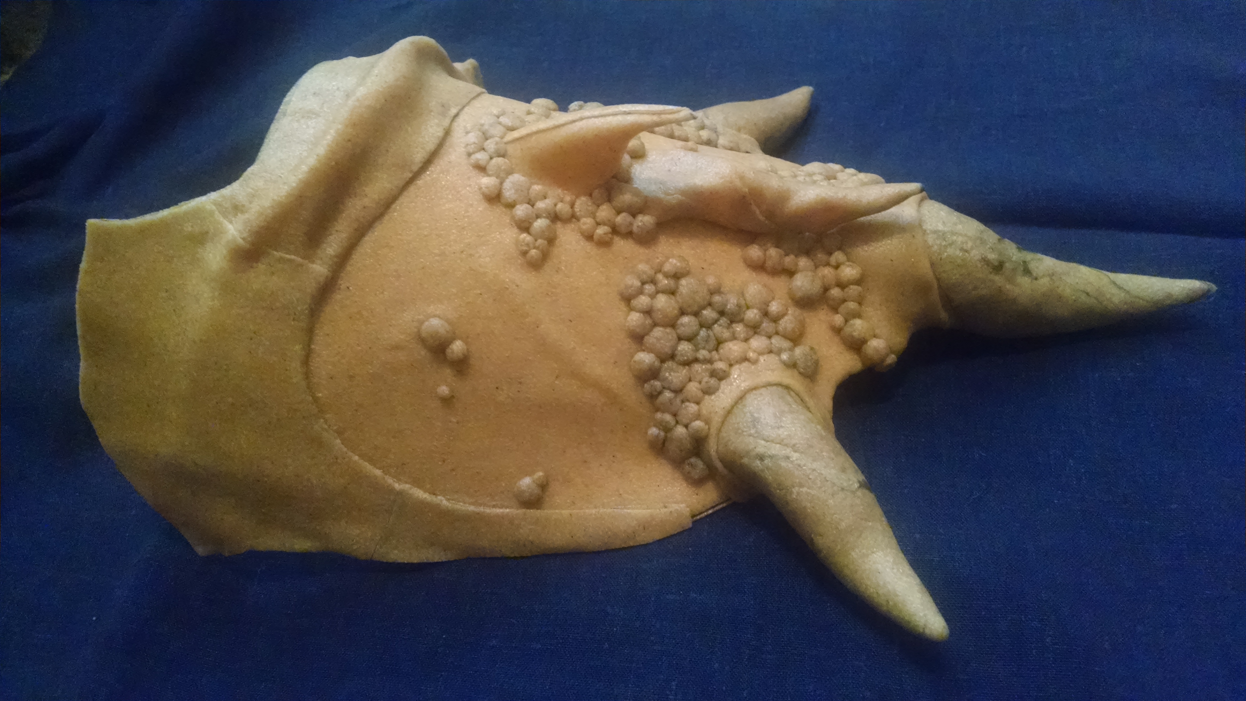 Right pauldron from the back.  I tried to make the edge of this look like a scapula.