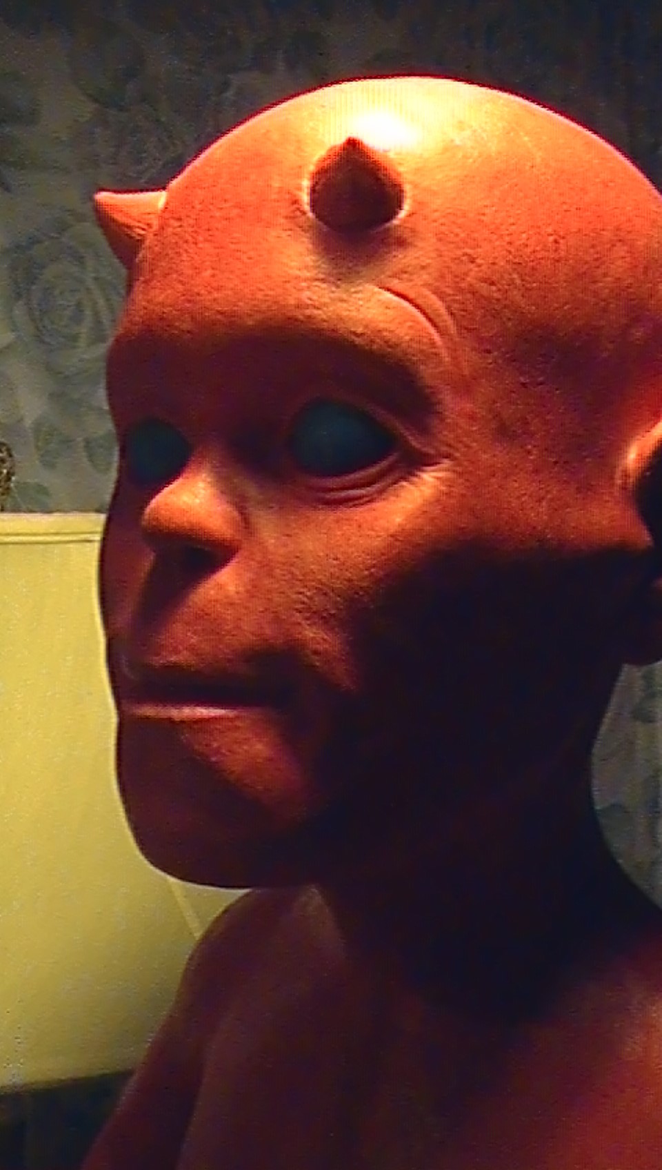 SAM_1731.jpg