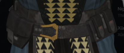 SFP Belt