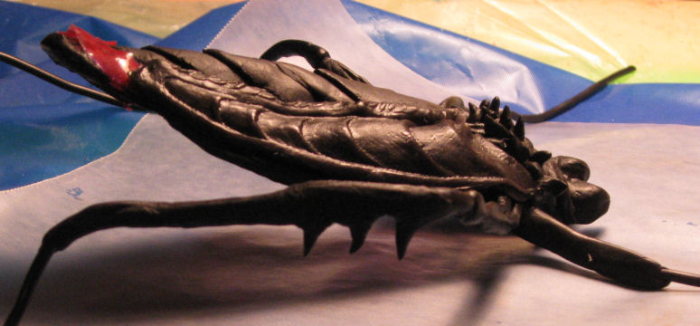 SGA iratus bug side view