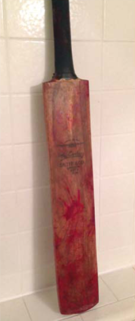 Shaun of the Dead cricket bat