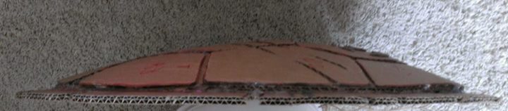 Side shot to show curve of the shell