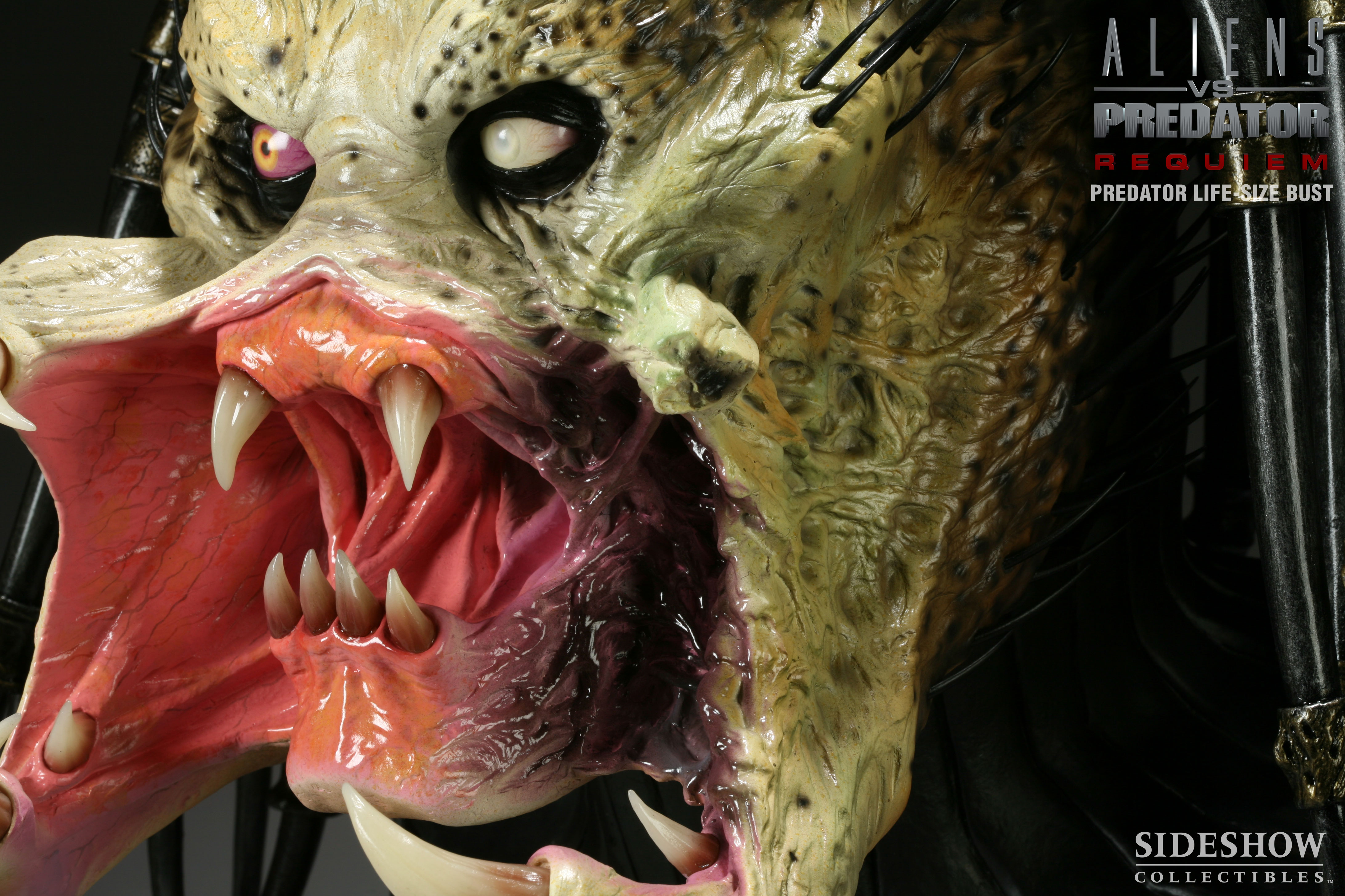 Sideshow Wolf Predator Life Size Bust 05