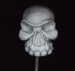 Skull Practice
Sculptex Clay (HARD)