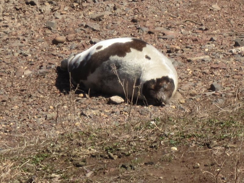 snooze