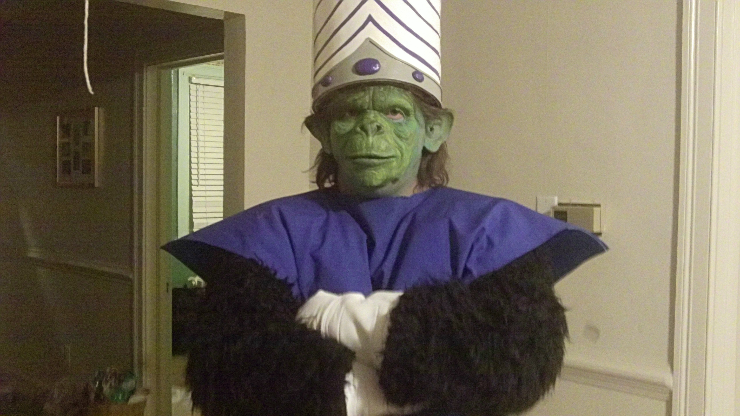 Spyderwebz Costume