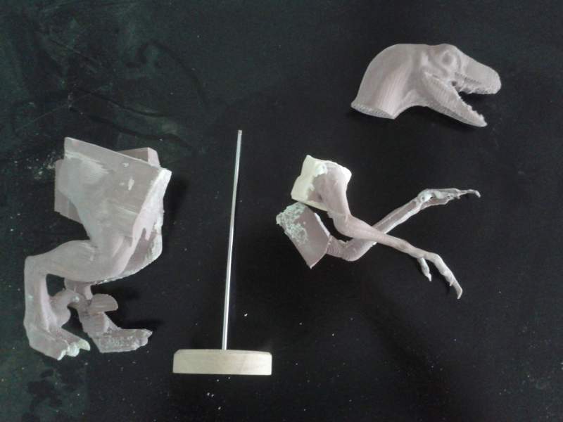 Starting to look a little like Philosoraptor, but hey.
I'm making a 1:10 scale model so I can get a bit of a better idea of the muscle structure/prop
