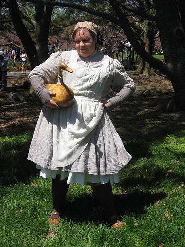 Steampunk Little Goose Girl