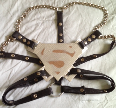 Superman Harness 1