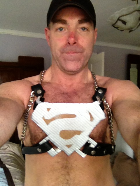 Superman Harness 2