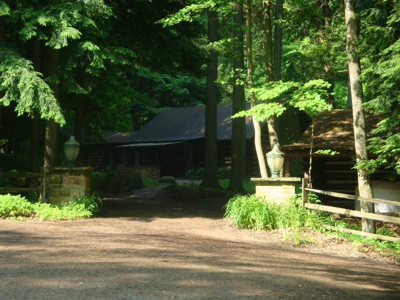 The Cabin