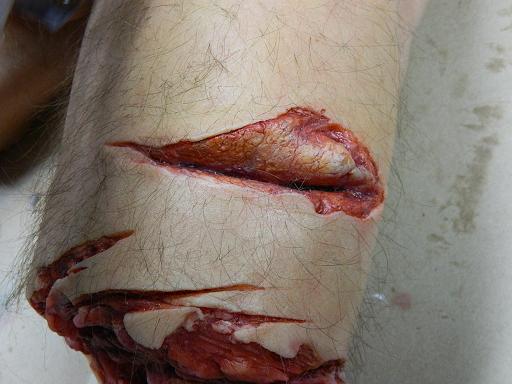 torso 2.Leg end close up.Hair punching done ! Yay !