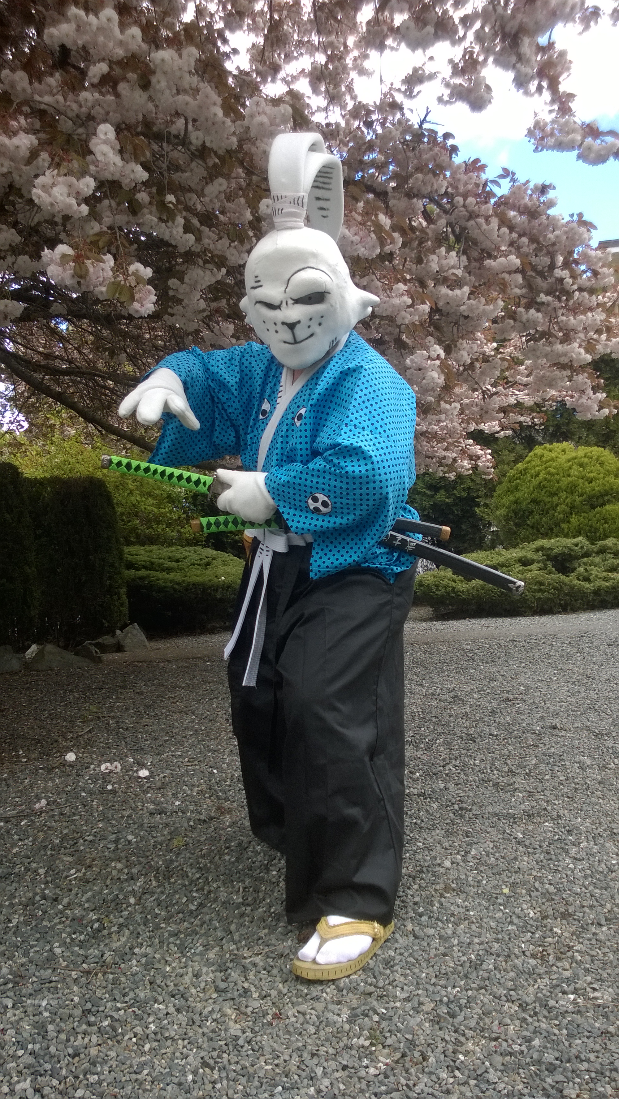 Usagi Yojimbo