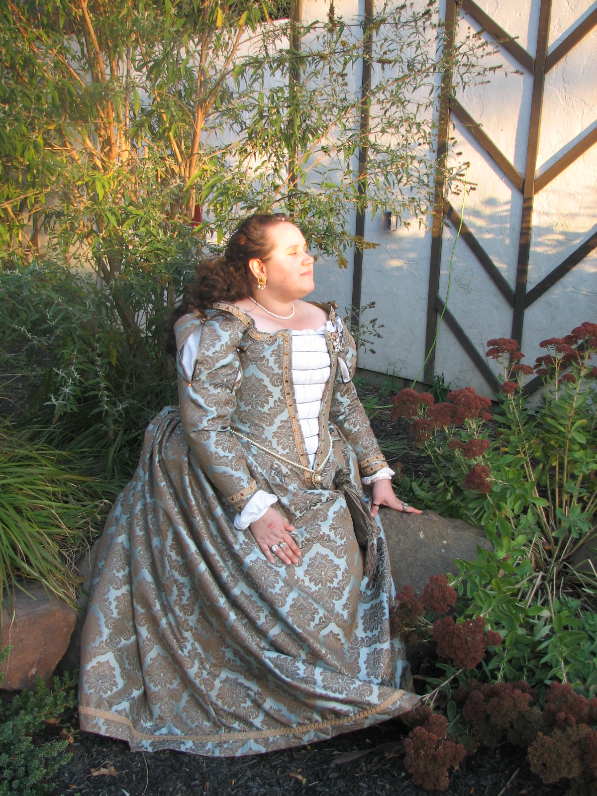 Venetian courtsean gown