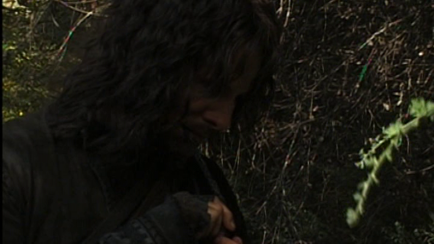 vlcsnap-2025-04-11-01h04m08s427.png