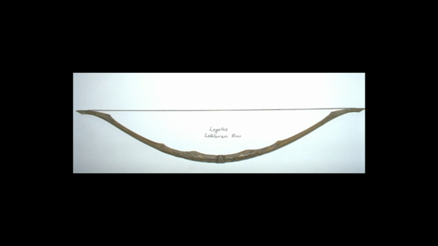 vlcsnap-2025-04-13-02h25m30s353.png