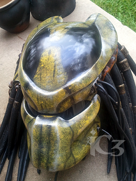 WASP1
