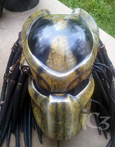 WASP3