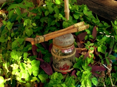 "What be wrong with an older man having a hobby?" Captain Hector Barbossa's Jar of Frog!