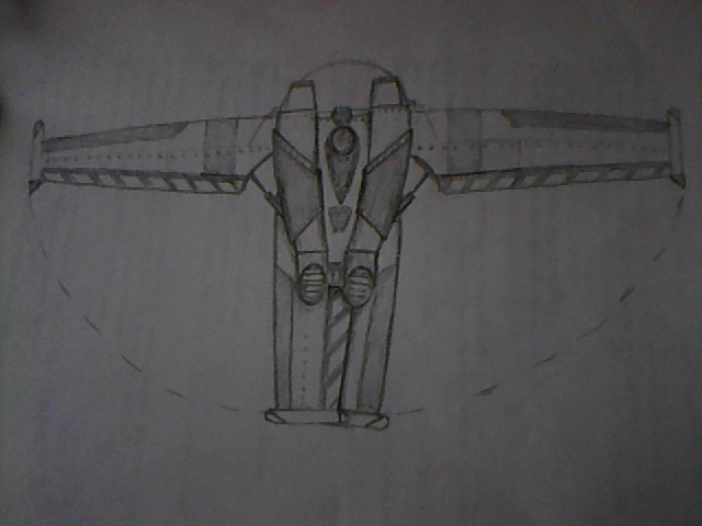 wing sketch