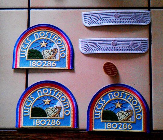 Wings, patches and pin.