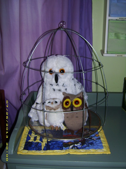 wire birdcage made from coat hangers