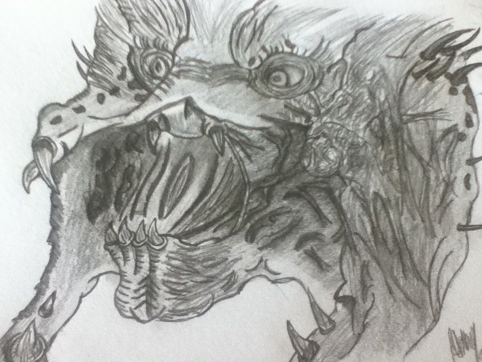 Wolf Drawing