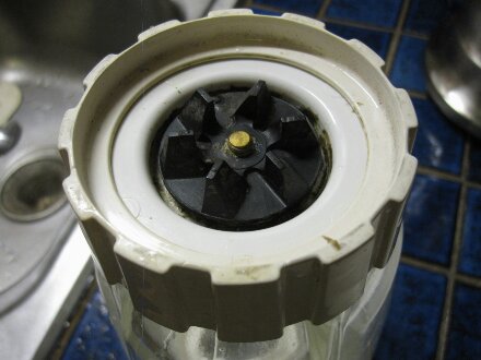 wpid IMG 02341